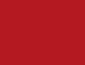 Panneau mélaminé Panoprey - R036 Rouge cerise   
